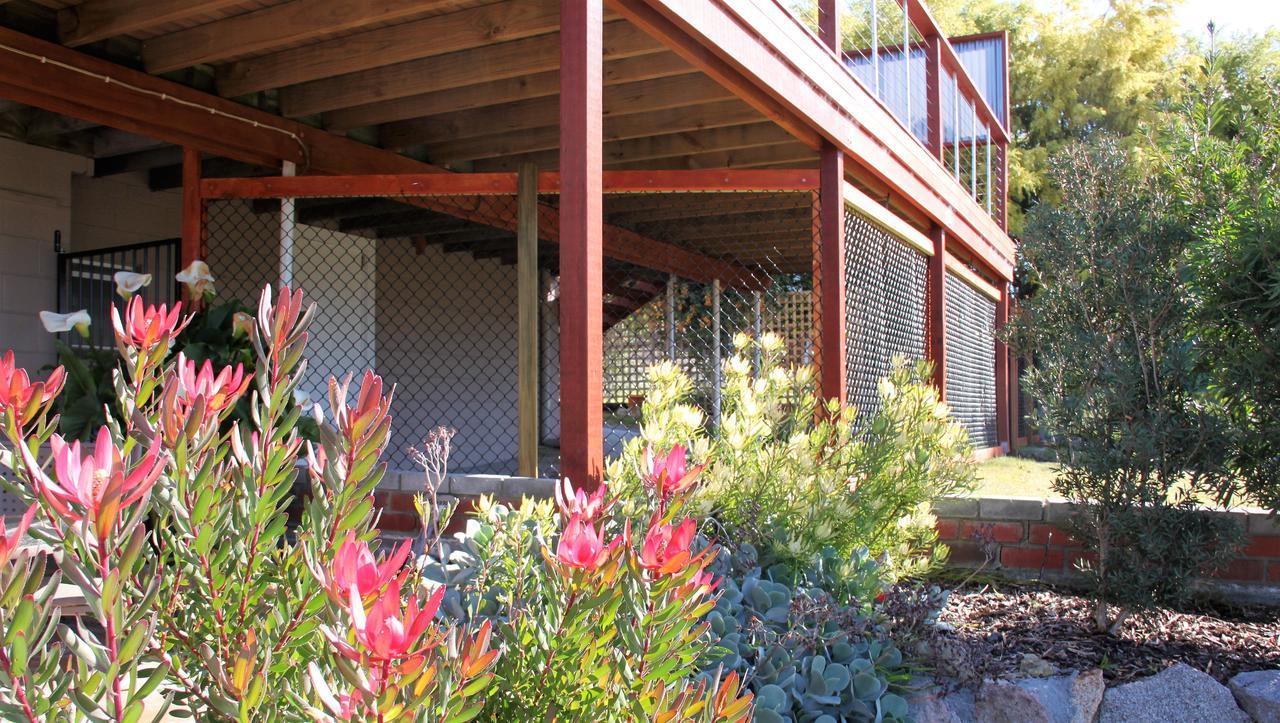 Bay Of Fires Seachange Ocean Frontage Binalong Bay Exterior foto